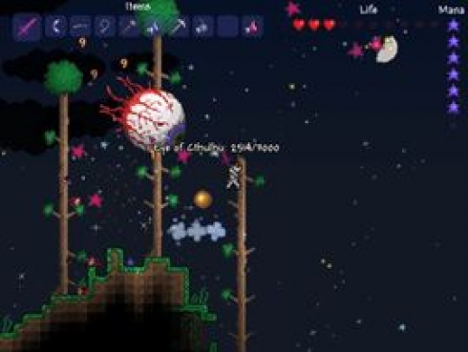 Obrázek ze hry Terraria