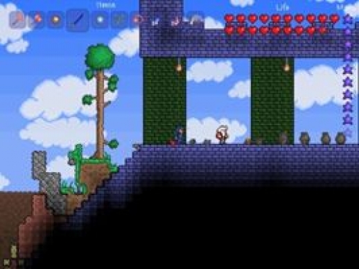 Obrázek ze hry Terraria