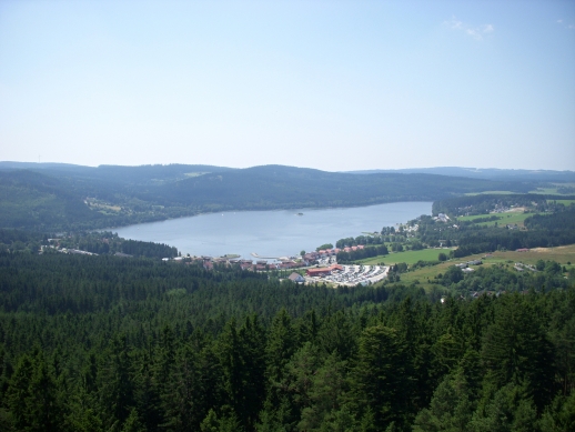 Cesta korunami stromů; foto: Adéla Dostálková