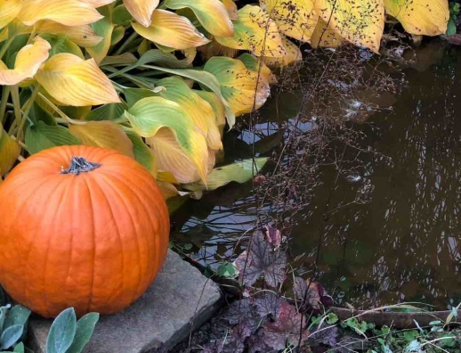 Podzim, foto: Anna Marie Málková Podzim, foto: Anna Marie Málková