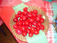 Duben